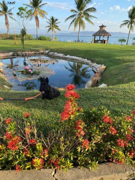 Acapulco Diamante Hermoso Departamento Экстерьер фото